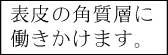 表皮の角質層に働きかけます。